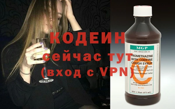шишки Верхний Тагил